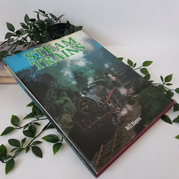 Book Steam Trains by Bill Hayes Galahad Books Travel History Railroad Railway - Picture 5 of 9